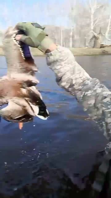 22 апреля 2024 г. смотреть онлайн