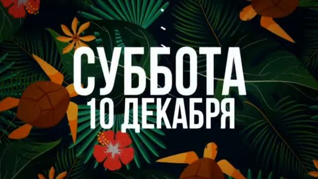 Рекламный ролик в инстаграм концерта Куана Торез Кахеле 10.12.17