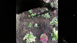 Будем жить! Евгений Кунгуров