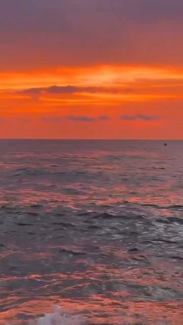 #Атлантика смотреть онлайн