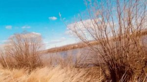 Ружье МЦ 21-12.Охота на Дальнем востоке на утку .