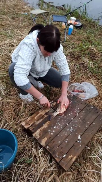 рыбалка Сургут (1) смотреть онлайн