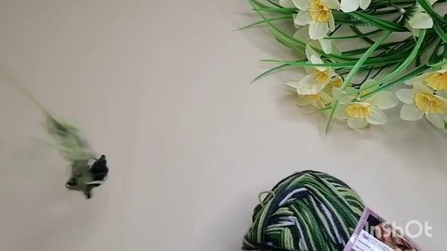 Носочная дюжина 3. Старт 5. Детские носочки смотреть онлайн