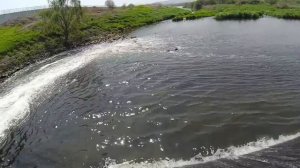 Рыбалка с рогаткой на окуня и сазана