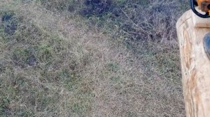 Монтаж потолочных балок и стропильной системы / Срубы