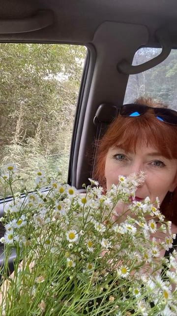 Полевые цветы🌸😍 #flowers #nature #природа #beautiful #морскойпей смотреть онлайн