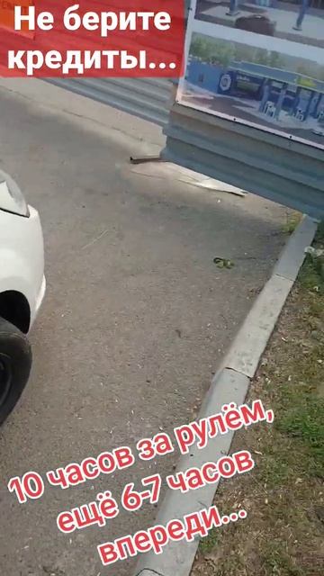 такси Яндекс выходные... #алматы #казахстан #kazakhstan #almaty # смотреть онлайн