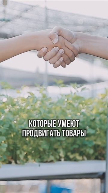 Не разбирайтесь в Вайлдберриз сами. Ошибки НОВИЧКОВ. смотреть онлайн