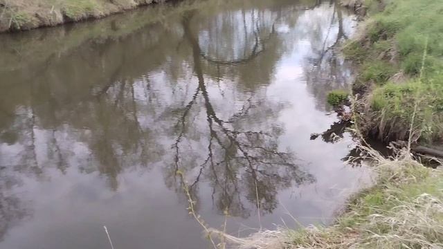 13.05.25г.р.Беспута 🎣🏕️☀️