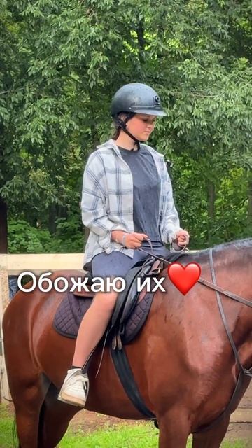 Тренировка в Москве верховой езды. #мечта смотреть онлайн