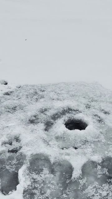 первая зимняя рыбалка 😎😍😍😍 тоже есть свои прелес? смотреть онлайн