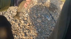 Форель в Иркутске. Рыбалка в черте города на ультралай