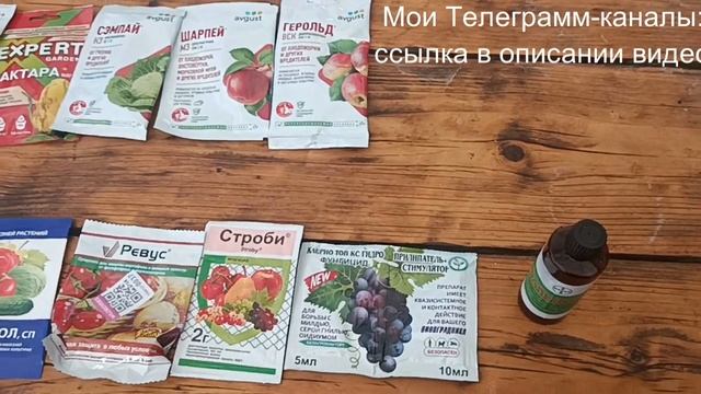 Садовый эксперт