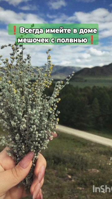 🌿Если,не дай Бог,какая-то беда🌿 #заговор #защитнаяма? смотреть онлайн