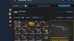 Как Начать Зарабатывать на Перепродаже Скинов в Steam [202