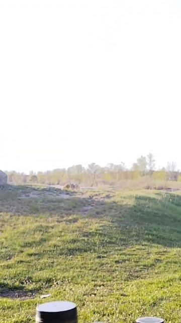 открытие сезона 2024🎣#рекомендации #fishing#shortvideo#рек#shorts#? смотреть онлайн