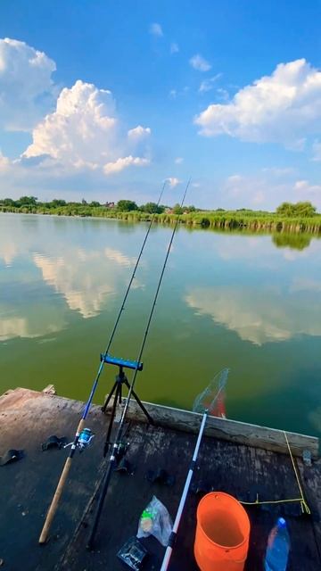 🌞Летние деньки 🎣 #музыка #песня #music #топ #fishing #carpfishing # смотреть онлайн