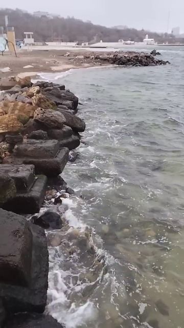 Одесса⚓ #уЧерногоМоря✨Декабрь 2024