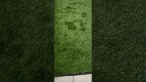 искусственная трава 50 мм EG50 / Artificial grass 50 мм