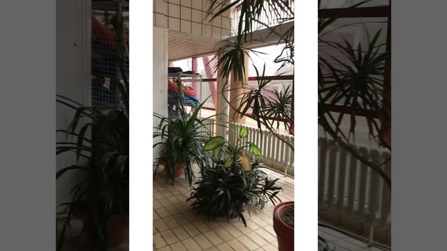 Бассейн в Южном, плаванье беременяшки смотреть онлайн