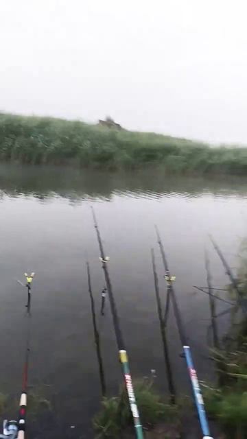 рыбалка в красноярске #рыбалка