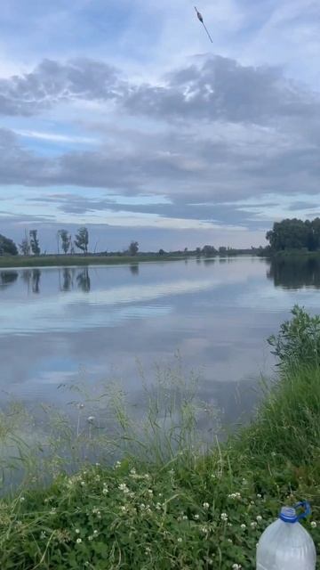 #рыбалка #красиво #неклюет смотреть онлайн