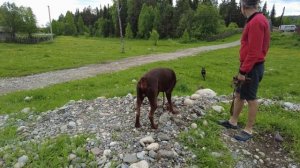 Мой первый выходной за неделю! Жизнь в деревне после переезда.