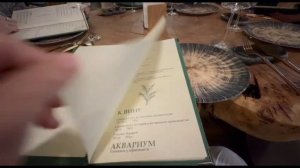 Поездка на термальные источники "Кедровый бор", Адыгея