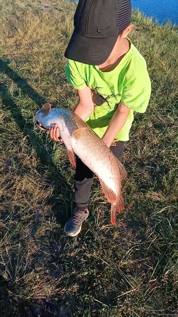 Посёлок Бугры Рубцовский район июнь 2024 смотреть онлайн