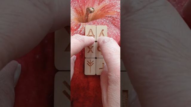 Діва 3 9 03 25 Дева