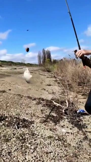 Ловля карася весной #карась #рыбалка #кубань #апрель смотреть онлайн