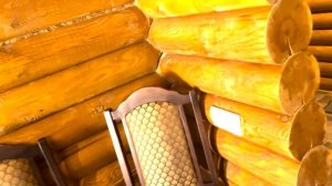 Кедровый бор. Республика Адыгея.