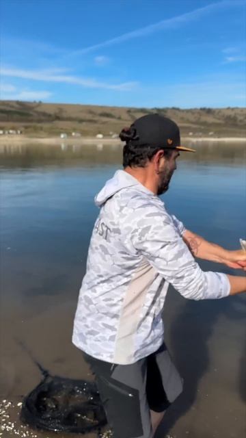 СУПЕР РЯДКА РИБА!😱😱 #риболов#спининг#есетра#reins#lastcast