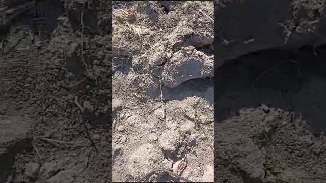 Поиск Приморский край . #поиск смотреть онлайн