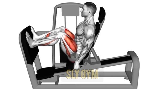 Мощные Упражнения на ЧЕТЫРЕХГЛАВУЮ мышцу бедра / Упра? смотреть онлайн