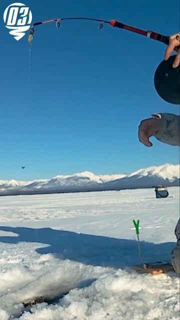 Омулевая рыбалка. Байкал 2025 г. смотреть онлайн