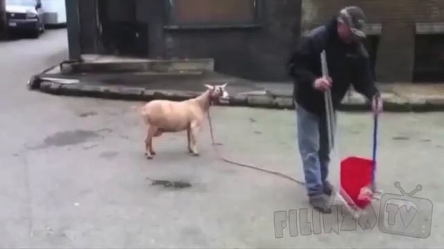 Самые сногшибательный приколы мира смотреть онлайн