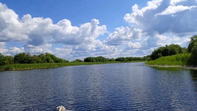 На озере Воже 18.07.24г.