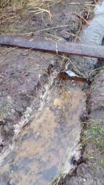 Козий водопой с проточной водой смотреть онлайн