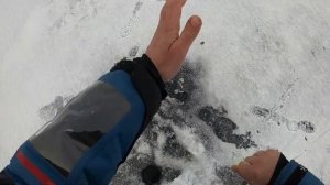 Налимы Онежского Озера. Рыбалка со льда весна 2024 год.