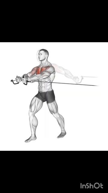 Тренировка Грудь и Бицепс смотреть онлайн