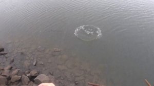 А Рудру дёрнет? Norstream Skald New 732MH!