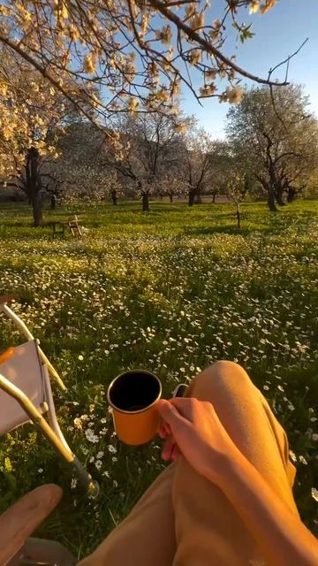 #доброеутро смотреть онлайн