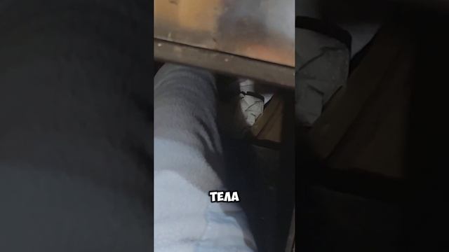 О РУССКОЙ БАНЕ #shorts #истории #баня #интересно смотреть онлайн