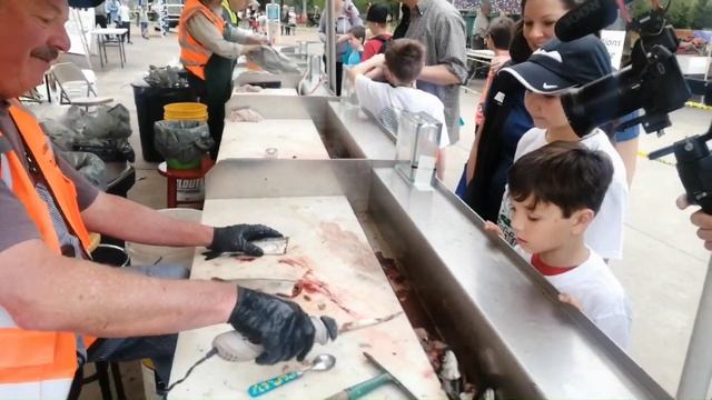 Детская рыбалка не по-детски))