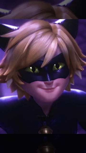 супер кот 🤩🤩🤩🤩🤩