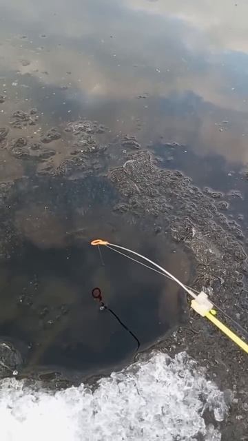 Оооо нормально 🤣 #рыбалканаозере #рыбалка #поклёвка #?