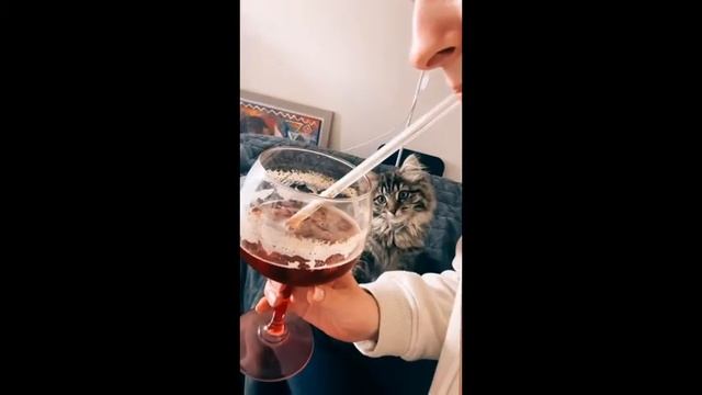 №8 лучшие приколы из инстаграм и телеграм/ август 2021/ смешные животные
