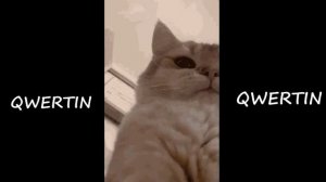 Самые ЖУТКИЕ и ЗАПРЕЩЕННЫЕ Видео ЮТУБА