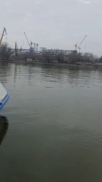 Рыбалка в Ростове-на-Дону зимой на судака!!! Приманки о? смотреть онлайн